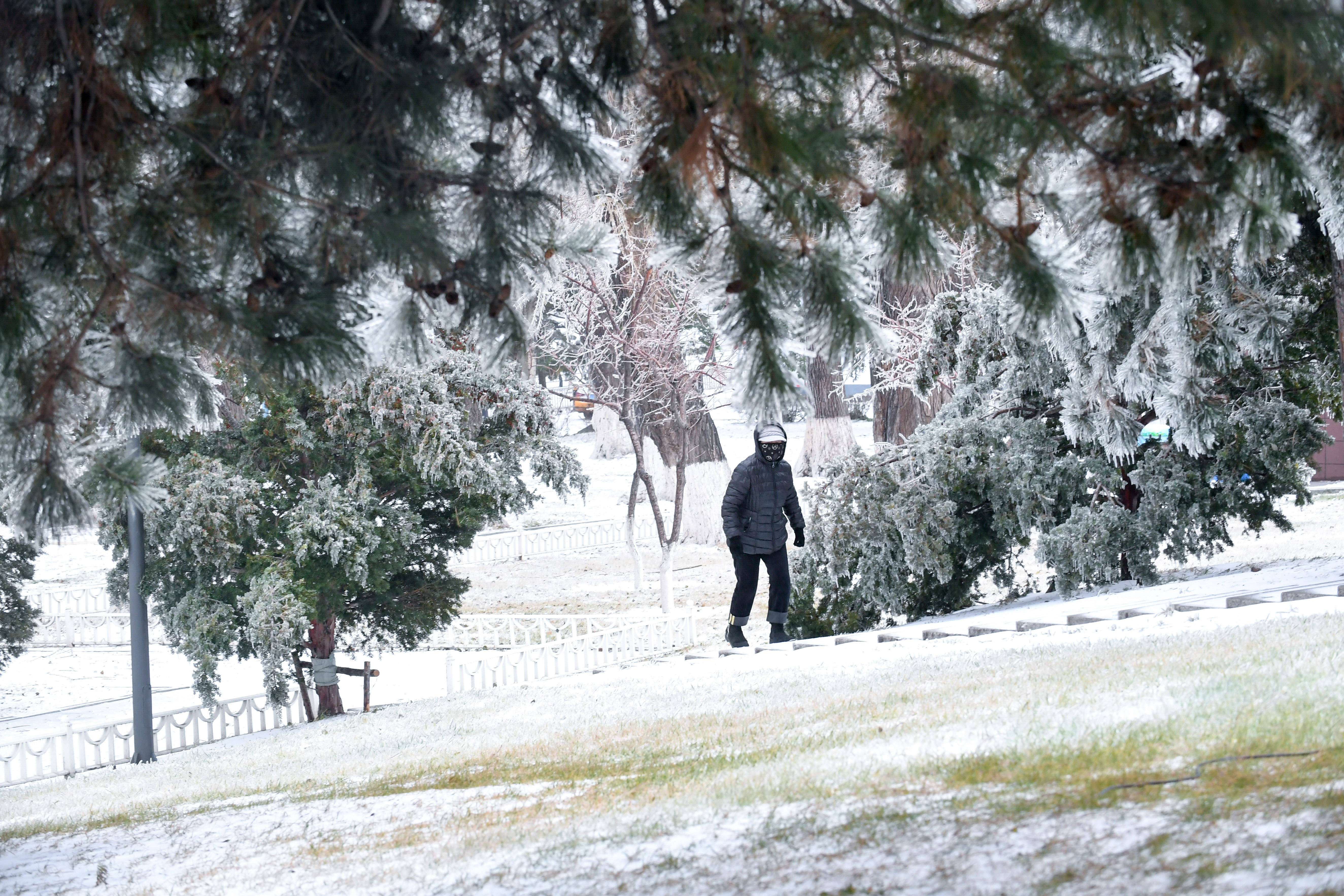 长春遭遇罕见强雨雪大风冰冻天气