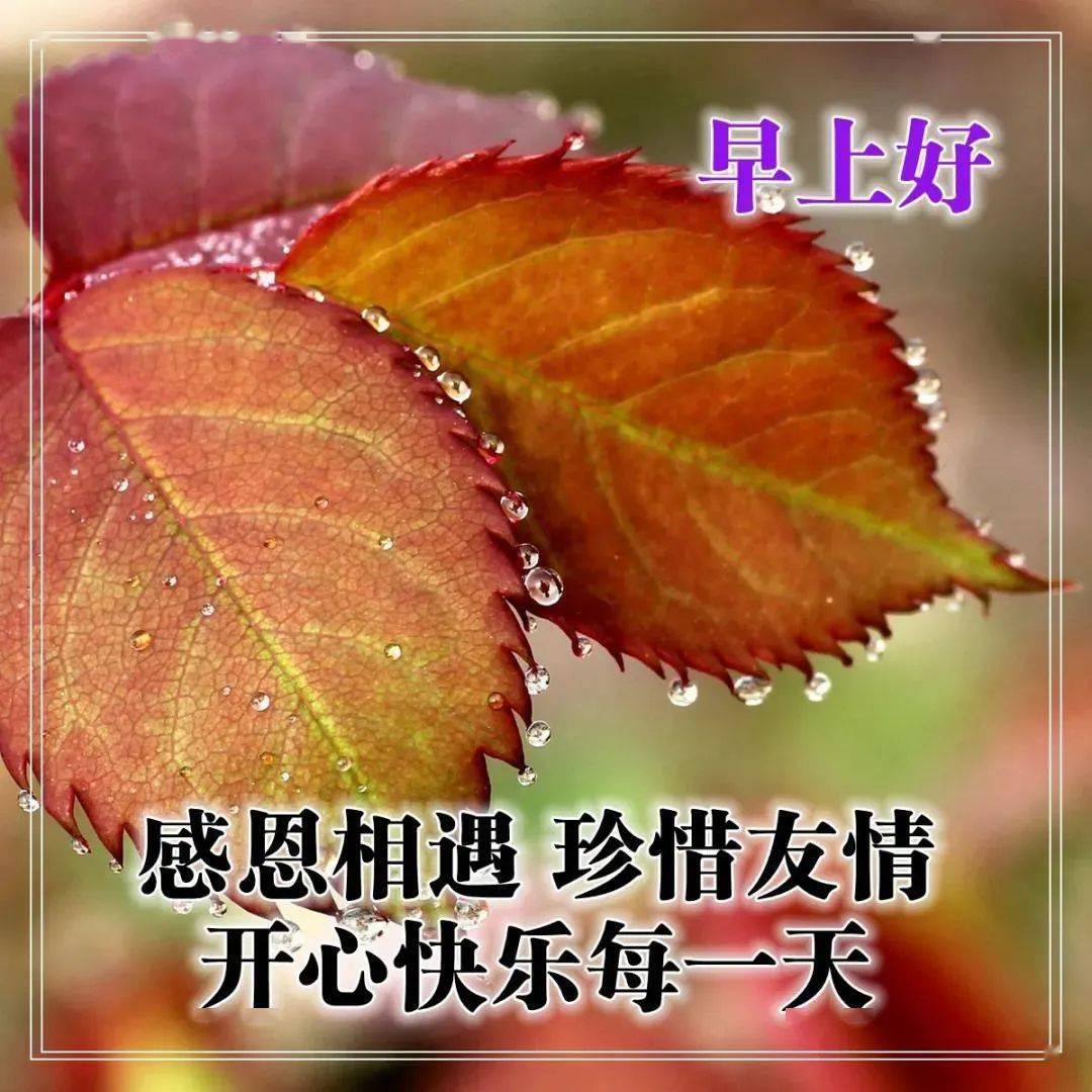 早上好問候語平安福氣滿滿給你