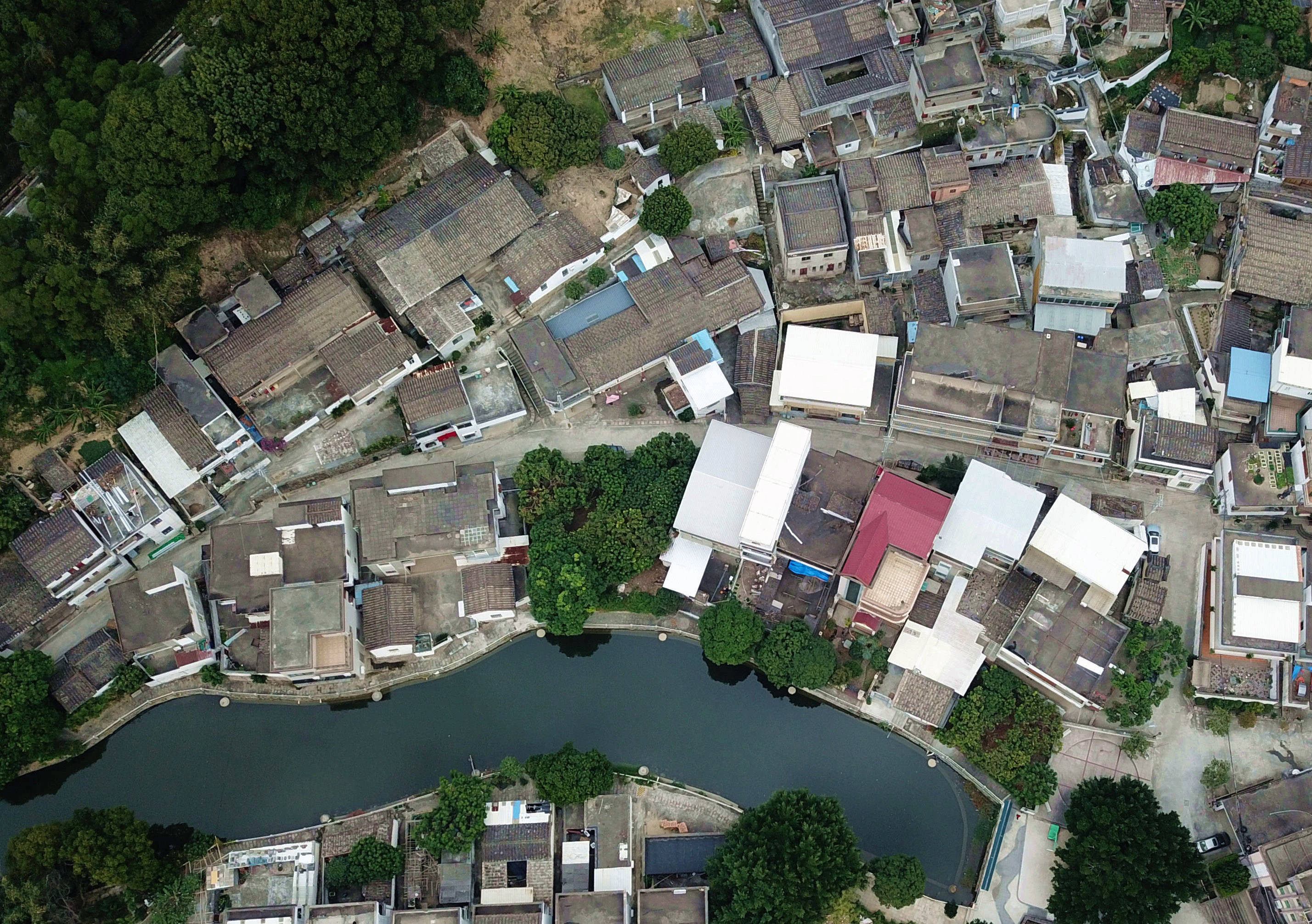 福建长乐:特色种养助农致富_五竹