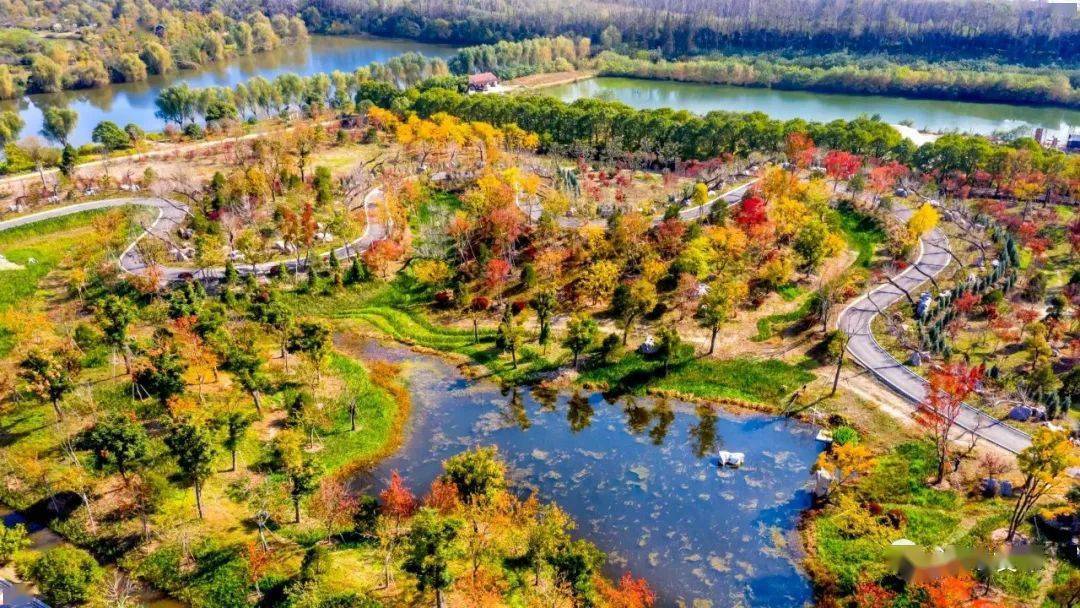 【乐分享】明年9月,在开沙岛遇见更美的秋天吧!