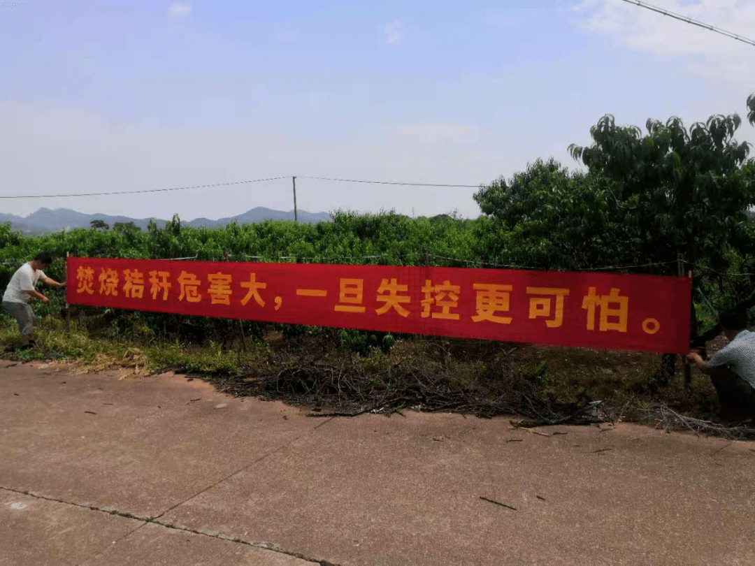 守护蓝天白云北苑街道开展秋冬季秸秆禁烧整治工作