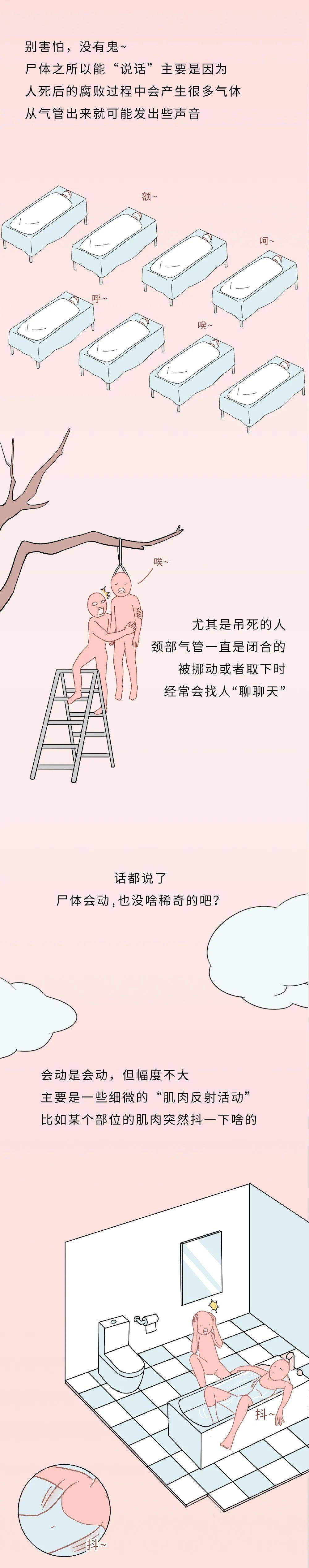 没有人比我更懂尸体