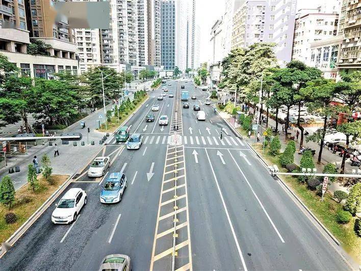 焕然一新龙华东环一路美了