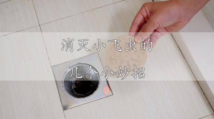 下水道小飞虫比蚊子还烦人,教你花不了一块钱,小飞虫被消灭干净