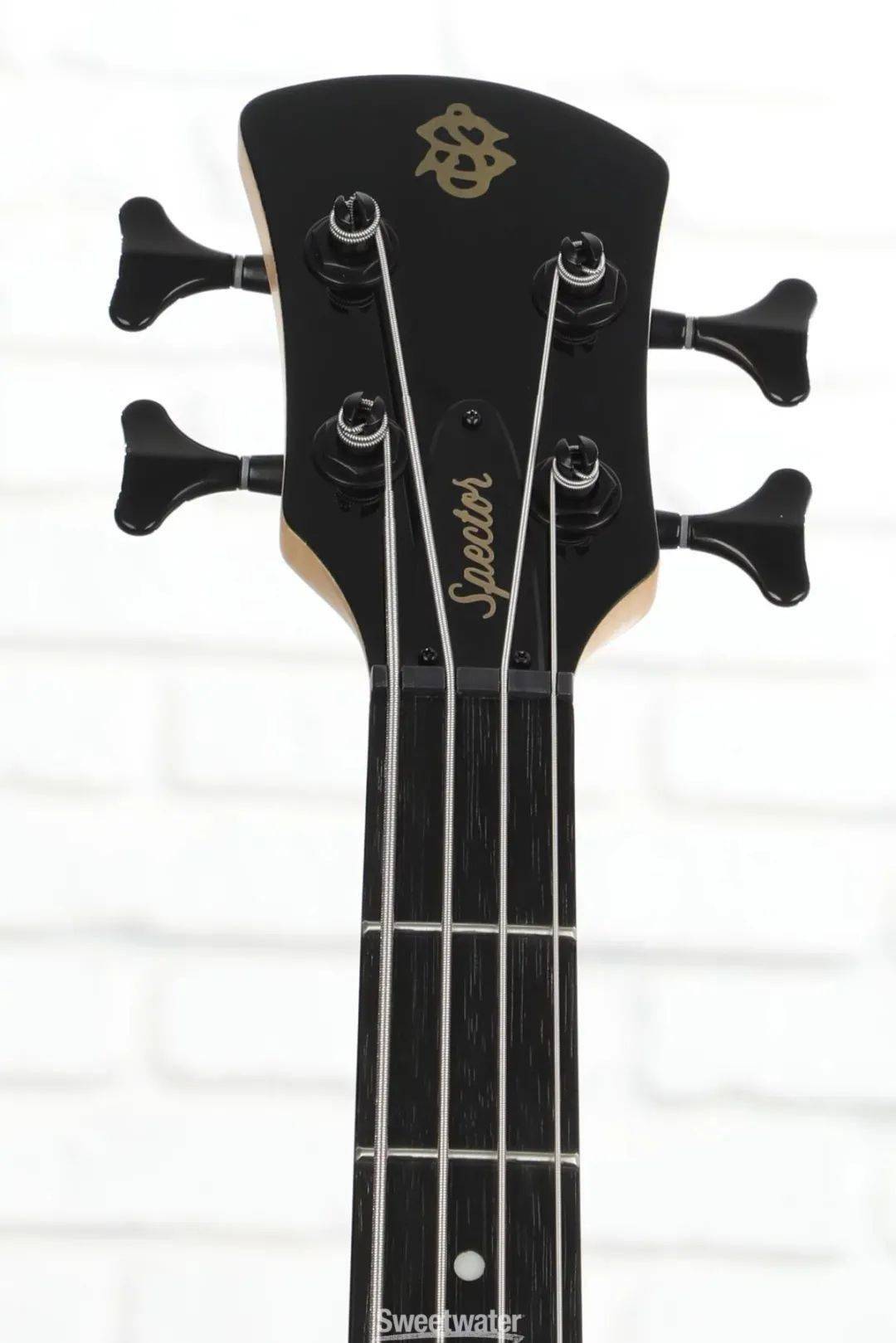 成为贝斯手的第一步spector入门进阶级贝斯performerseries