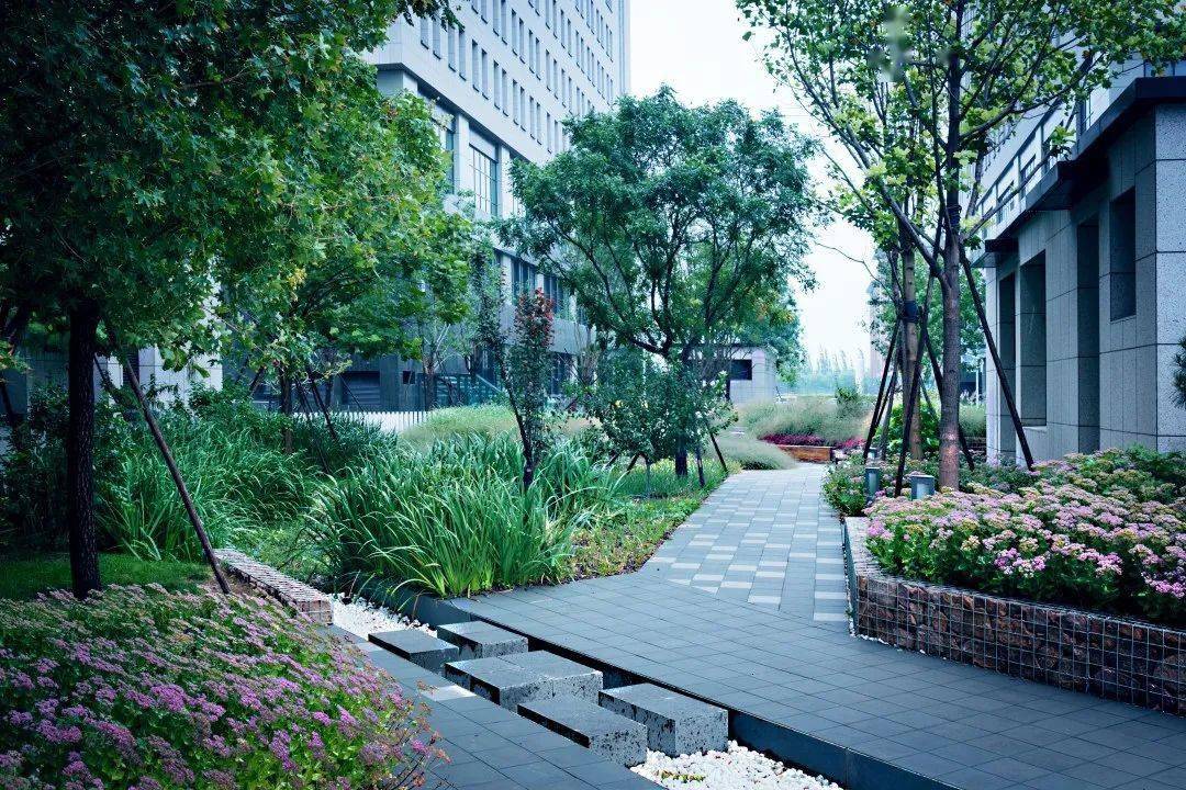 这座智慧雨水花园让人忍不住想踩一踩