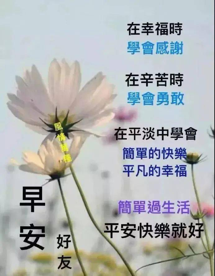 早上好问候语每天第一声问候给你最美好的祝福