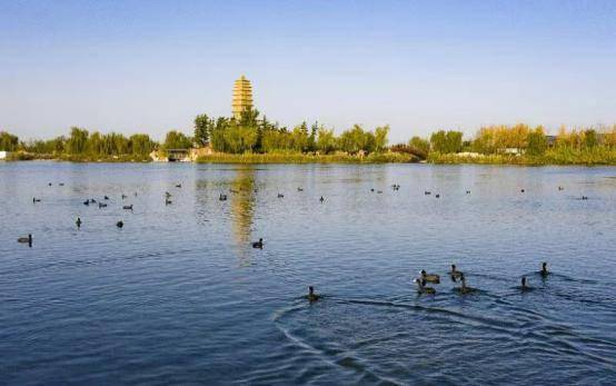 关中山水最佳处 渼陂湖再现千年秀水好风光