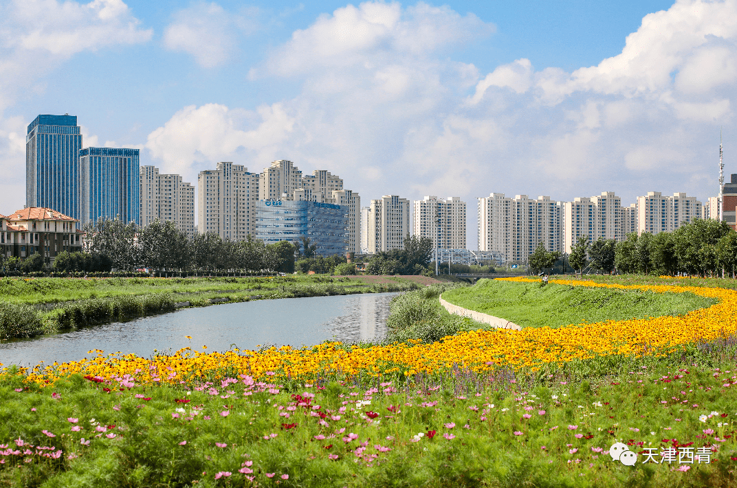 西青创文感谢有您西青区委区政府致全区人民的感谢信