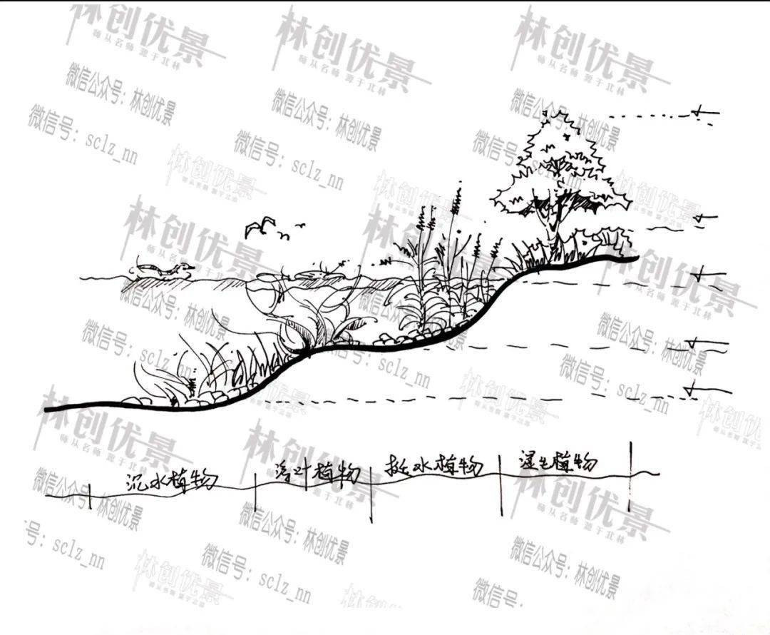 雨水花园剖面图手绘图片