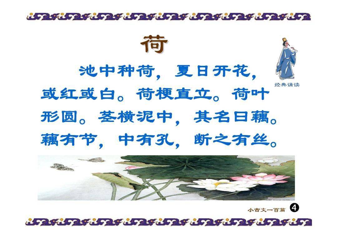 跟我学小古文丨第4课荷