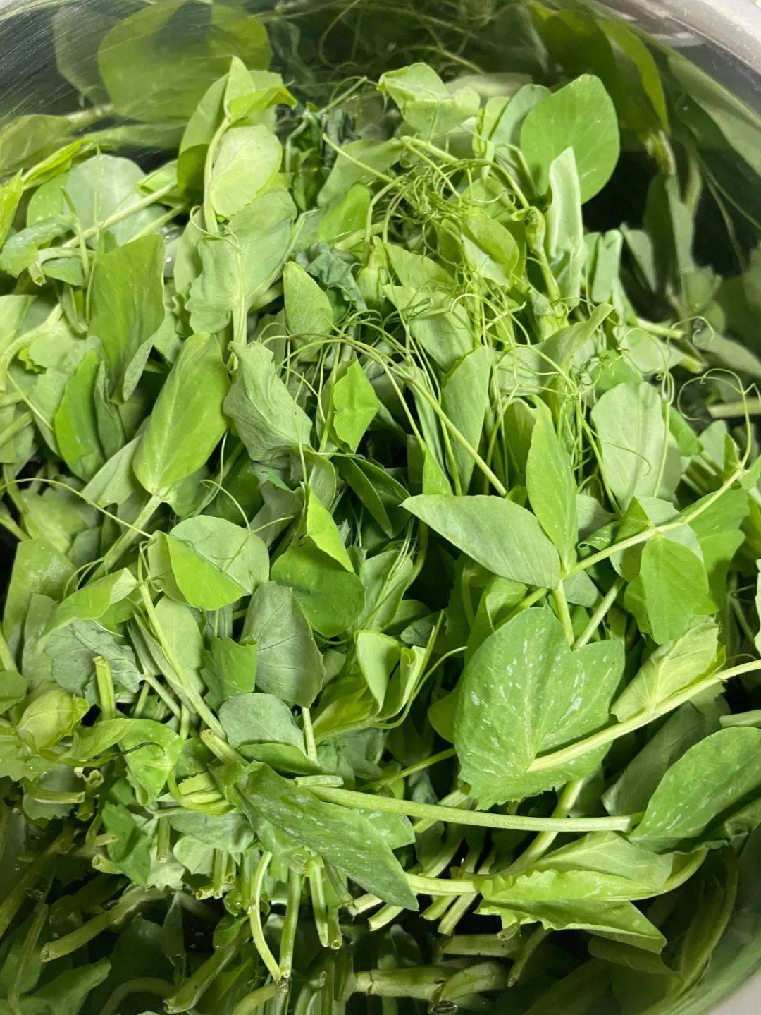 冬天好吃不过豌豆颠儿豌豆颠儿开始占领峨眉人的餐桌