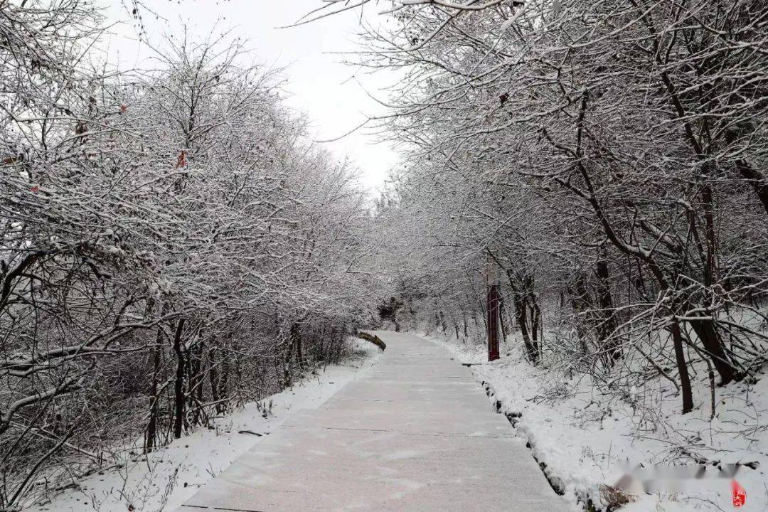 銅川下雪了