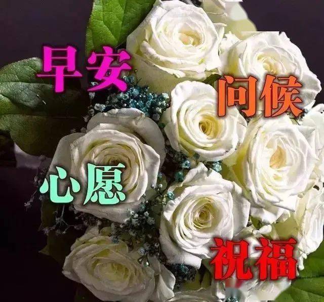 早上好祝福圖片溫馨帶字微信清晨早上好問候語