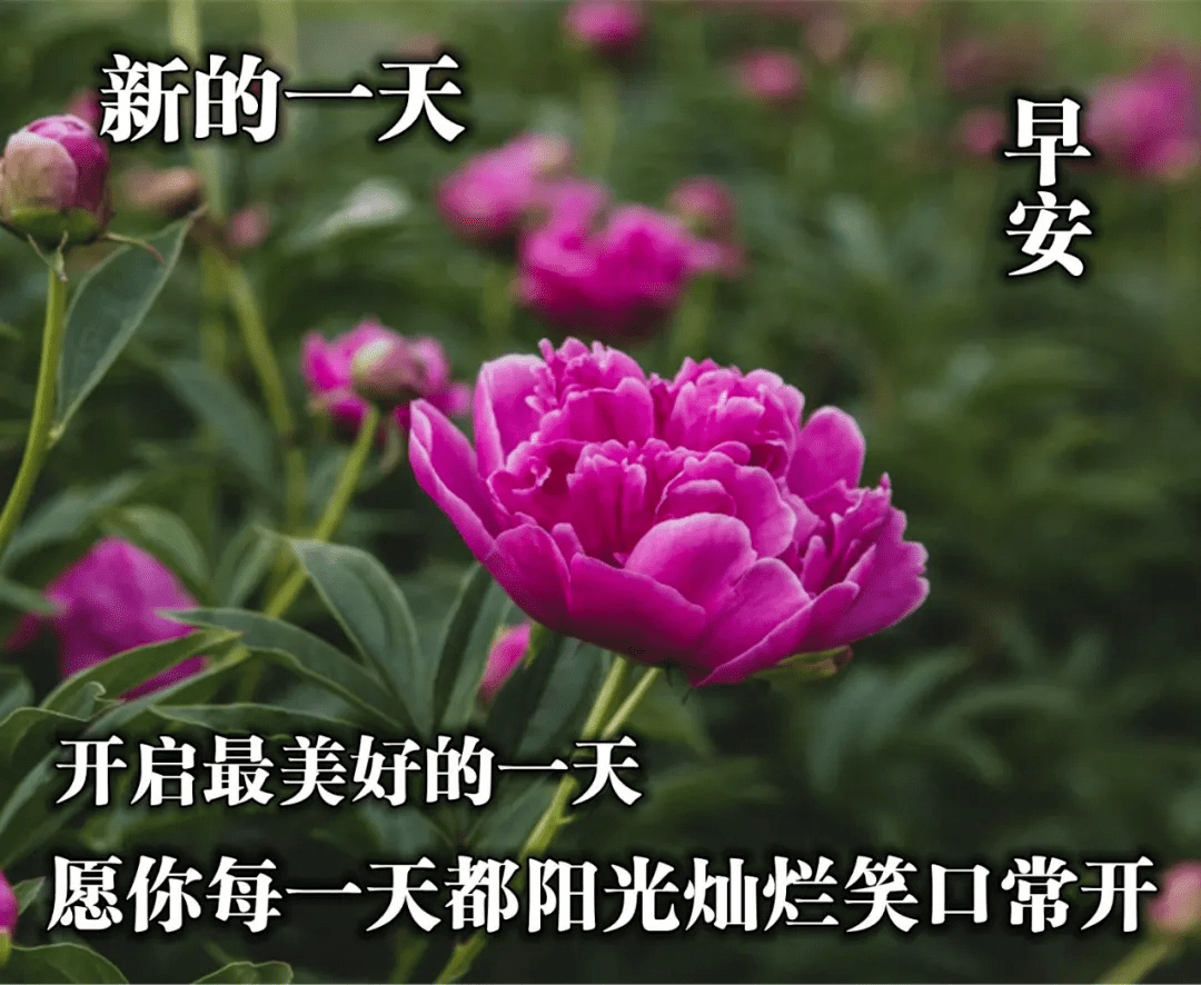 冬天早上好天冷了暖暖的祝福深深的问候早安图片唯美句子