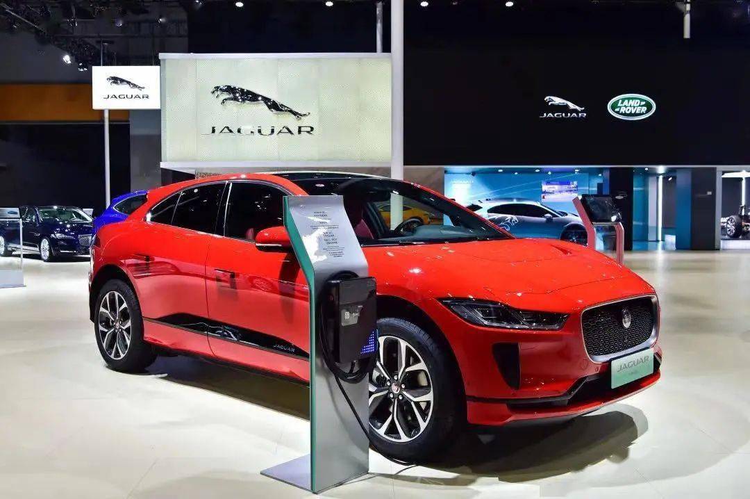 虎豹聚粤共襄盛事