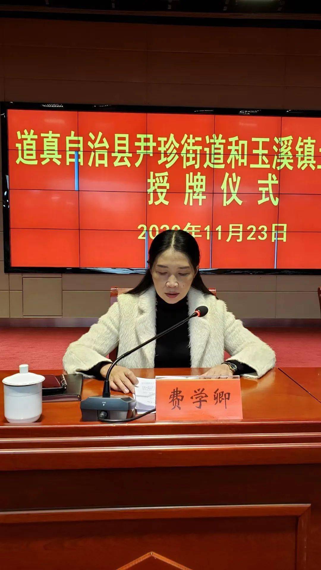 67道真尹珍街道办和玉溪镇土城坝村正式挂牌