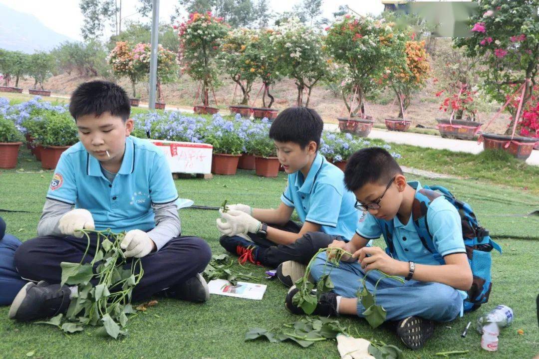 户外教育新天地亲子空间心演绎德胜学校小学部六年6班亲子研学活动