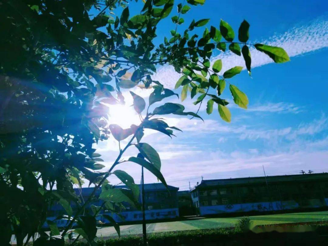 学校传真 捕捉美好瞬间—坊子区南流中学举办教职工摄影大赛