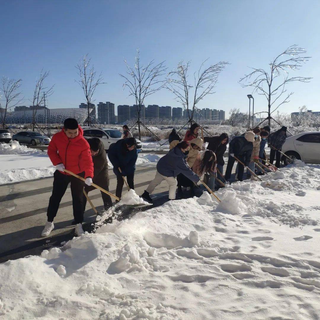 勞動實踐信息傳播工程學院組織掃雪活動