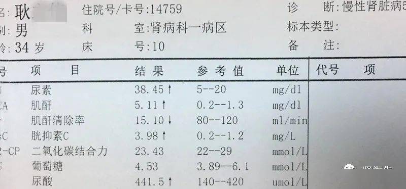 血肌酐检查图片