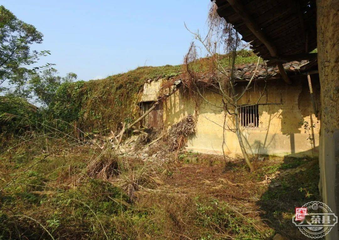 荣县探秘荣县吕仙村一个神仙扎堆的地方