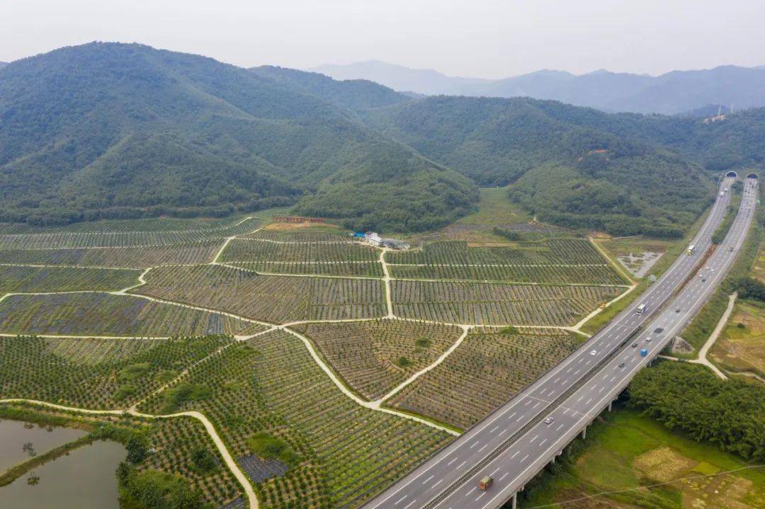 广州四会航空产业城图片