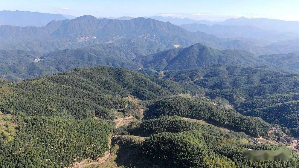 过去,狮子坑,甘竹山两个自然村一直没有实现道路硬