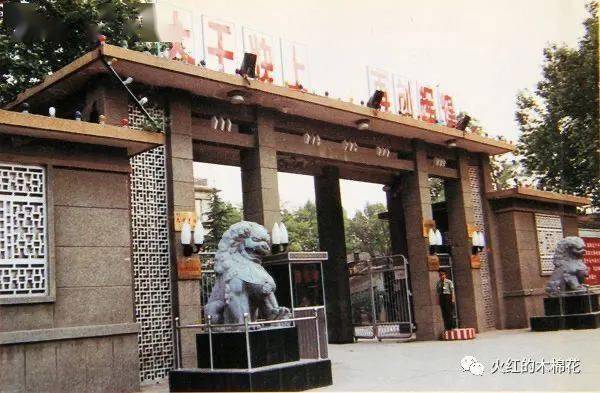 这篇回忆杀,让人不敢回忆高光时代的"汲县"!_华新