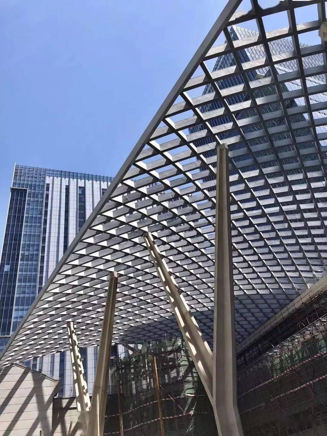 结构一大波树形柱来袭