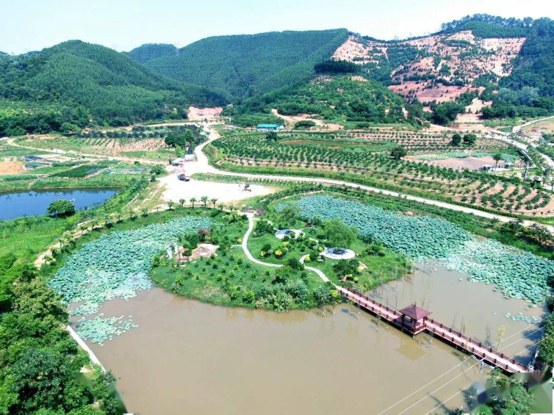 科技农业四会这个省级园区迎来新动力