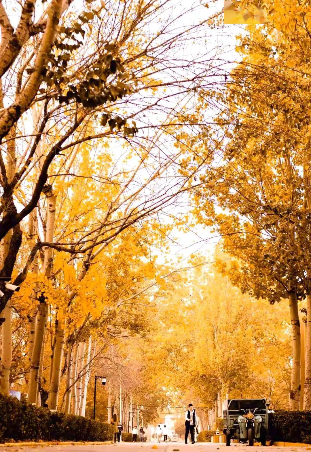 点点冬意归意正浓