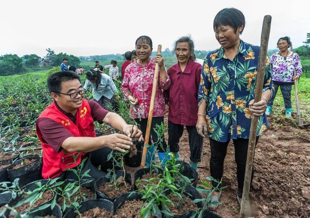 助推扶贫攻坚硬核直播带货 张志学/摄《致富希望》拍摄于大盛镇隆仁村