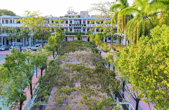 榜样的力量美丽乡村绽放文明之花澄海莲下镇建阳村喜提67全国文明