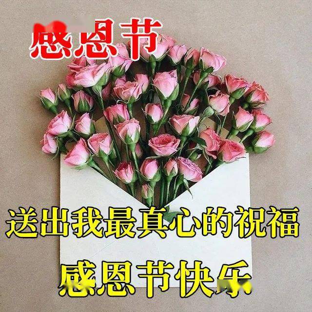 今天感恩节感恩一路帮助过我的所有人