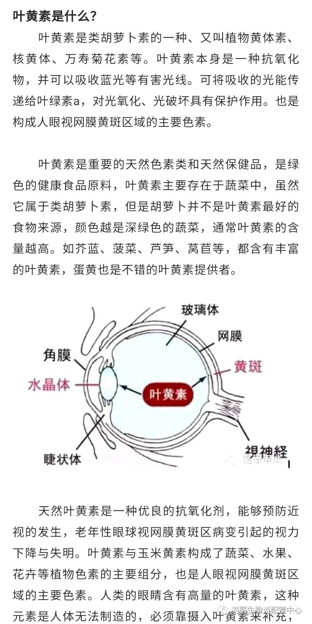 什么是叶黄素 来自搜狐网