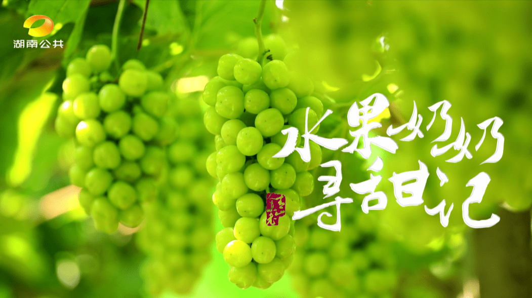 水果奶奶赵中福一片丹心为农忙