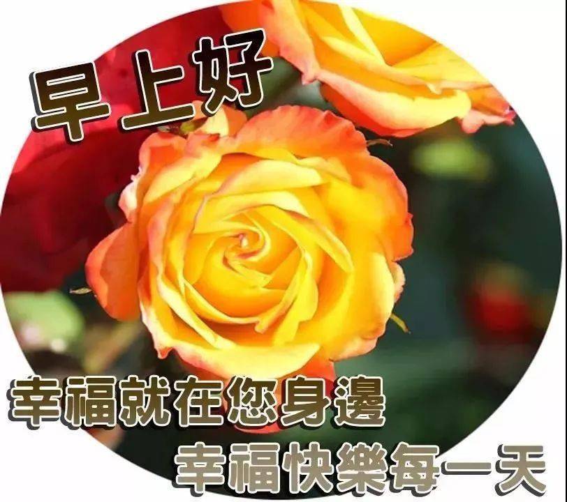 11月27日很潮的早上好问候动漫表情图片微信群发早上好经典问候语