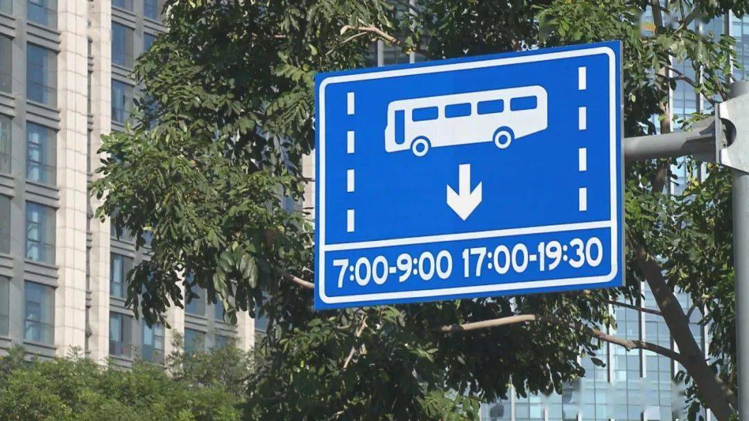 这条公交专用道纵贯岛内,司机要注意这些.