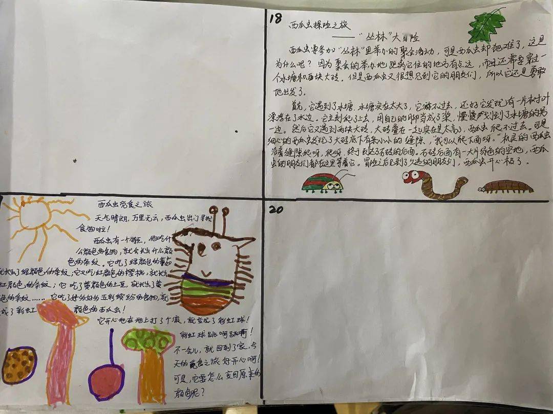 课程星语密林角落的惊喜儿时的记忆西瓜虫