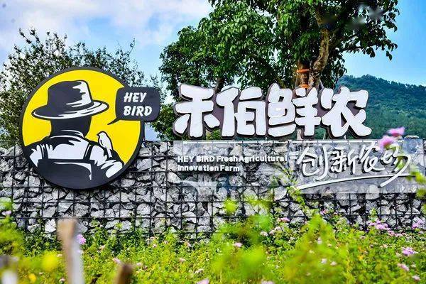 《厦门人的一天:创新农场里的蝴蝶梦》