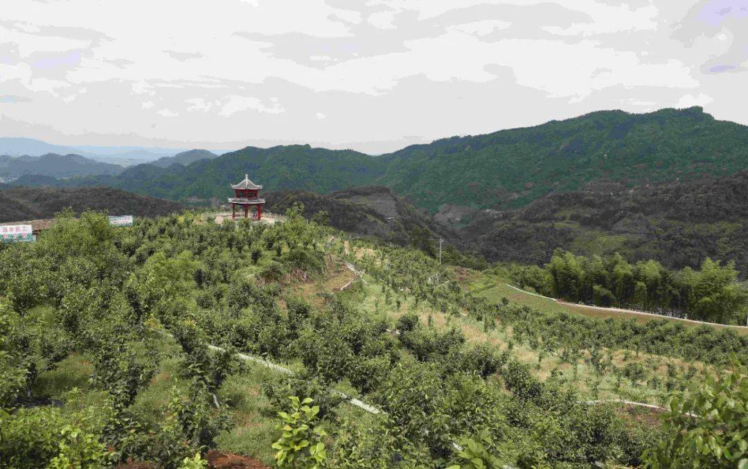 在兴文县,永寿社区村的旅游发展不是最火热的,旅游资源不是最丰富的