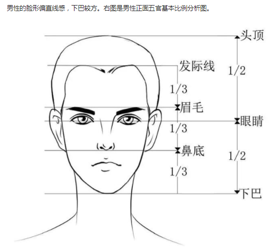 基礎教程人物五官基本比例及正面畫法