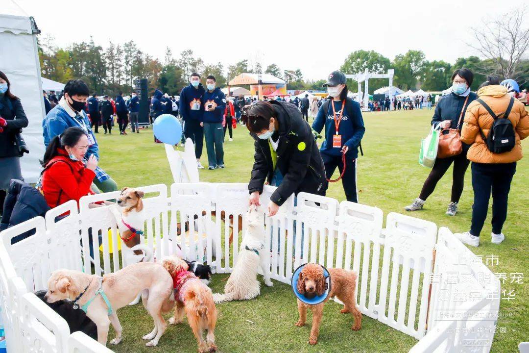 万众瞩目魔都宠物嘉年华皇家助力文明养宠治愈力max