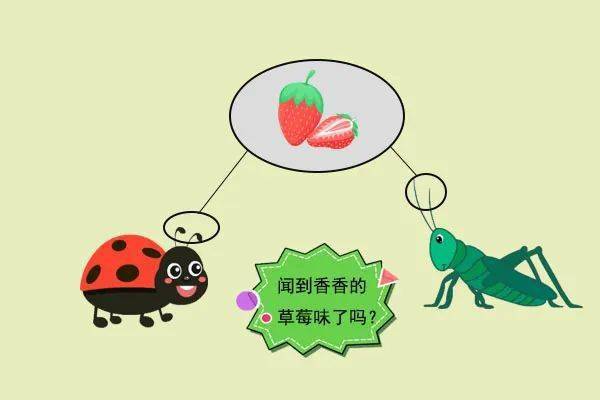 科普天地昆虫靠什么闻到气味