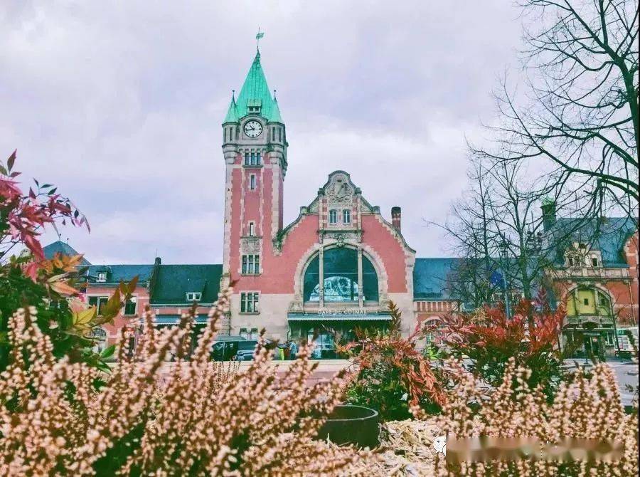 留学落户通道:英国奥斯特大学留学硕士,回国1年落户上海!_课程