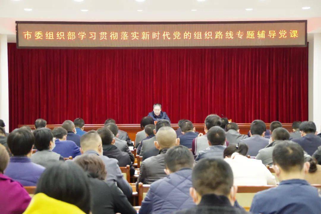 杨郃:学习贯彻落实好新时代党的组织路线,不断推动陇南组织工作创新