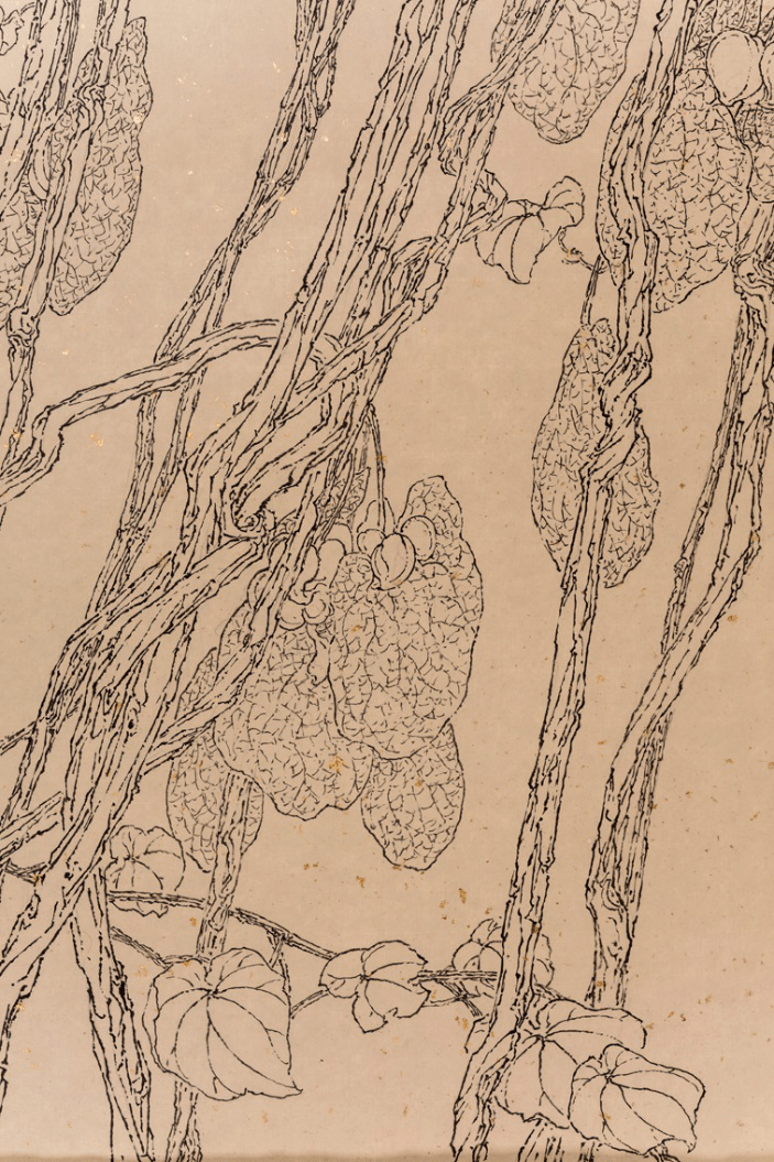 苏门画苑中央美术学院苏百钧教授白描作品老藤讨论之访问学者组