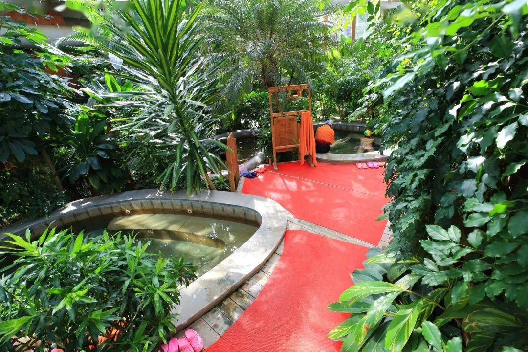 抢购价仅88元南宫民族温泉养生园成人门票平日周末通用