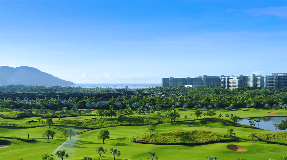 当乘风破浪的自贸港遇上蓝湾升级版新品